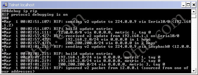 Configure_RIP_R0_update_packet.jpg