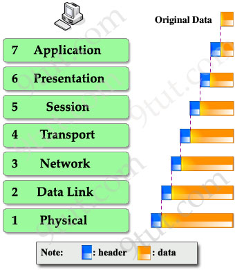 OSI_Model_headers_added.jpg