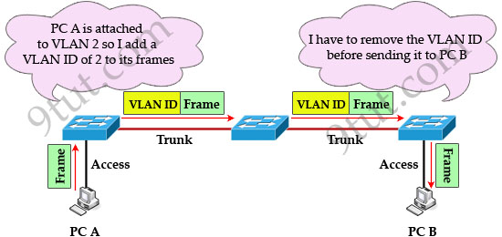 VLAN_tag_added_removed.jpg