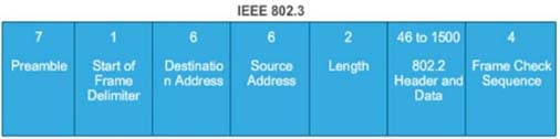 Ethernet802.3_Frame_Format_2.jpg