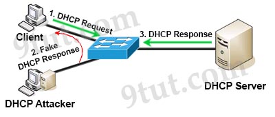 DHCP_Spoofing_Attack.jpg