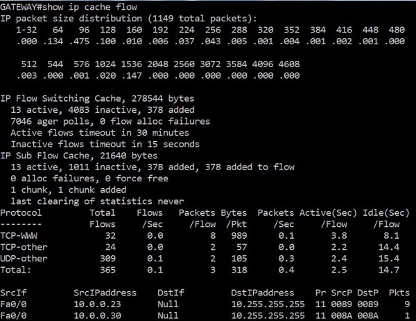 show_ip_cache_flow.jpg