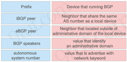 BGP_components.jpg