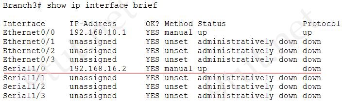 Branch3_show_ip_interface_brief.jpg