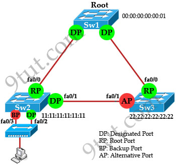 switch mac address learning spanning tree