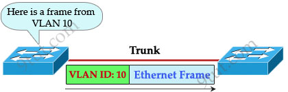 VLAN_ID.jpg