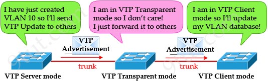 VTP_Transparent_Client_Modes.jpg