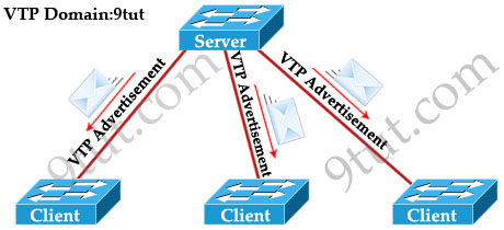 VTP_modes.jpg